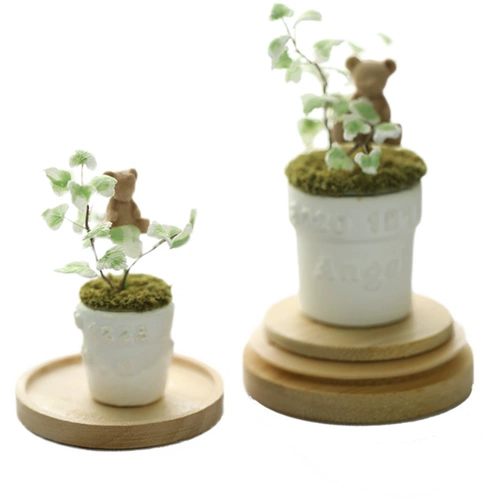 Микровисшивание мини -ивия эмить вечного цветочного моха нефритовое медведь тигр детские волосы