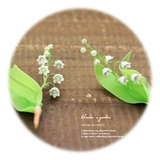 Индивидуальные детские новорожденные детские волосы шины с экономящими бутылочками коллекция шнуров лиственная стеклянная крышка для хранения слегка уменьшила долину