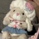 jellycatyummy ເຄື່ອງນຸ່ງຫົ່ມ rabbit ss ຈໍານວນ Belle ນຸ່ງເສື້ອ piglet spare ແລະ lamb ເຄື່ອງນຸ່ງຫົ່ມ beret towel hanging spare