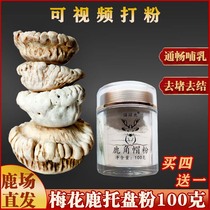 Antler cap powder Jilin sika deer horn glue antler cap powder care breast free powder through milk 100g video selection