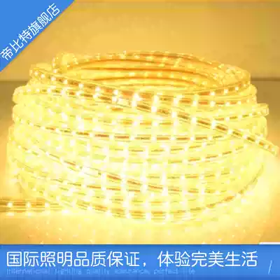 Home improvement light strip decoration light strip reflective light slot led highlight 5050 3528 Suspended ceiling neon strip 220V