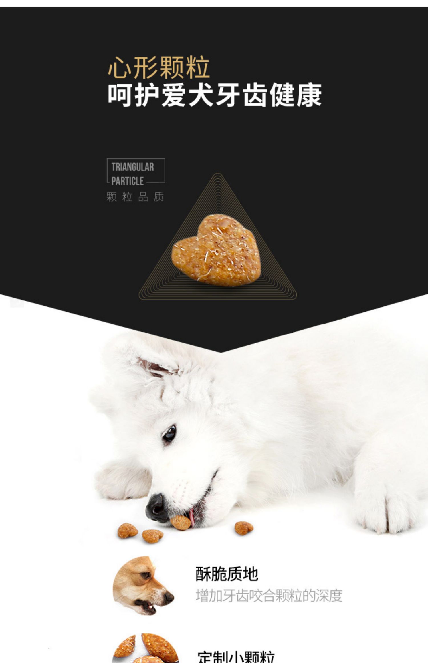 Thức ăn cho chó con chó con điên Samoyed thức ăn đặc biệt cho chó lông chó con chó trưởng thành trong bộ lông trắng lớn 2kg4 kg - Chó Staples đồ ăn của chó