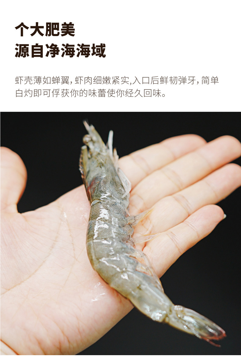 大希地 南美原装进口 海捕大虾 1400g 8-10cm长 图2