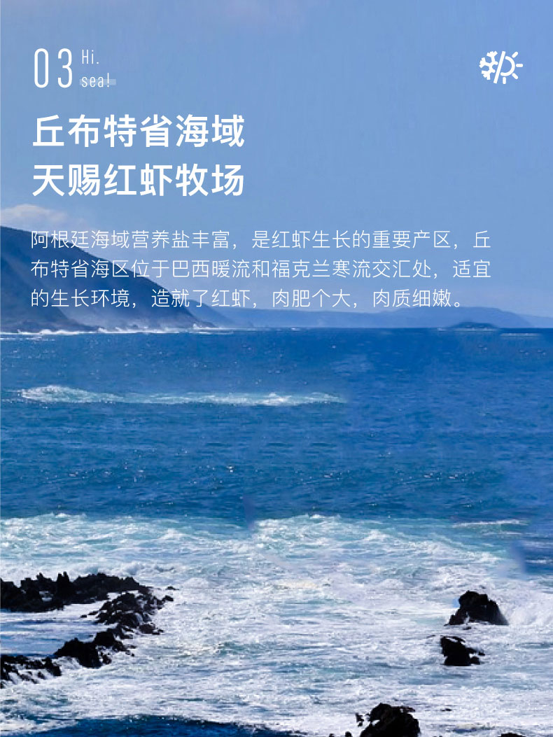 大希地 L1级超大号 阿根廷红虾 净重4斤 图5