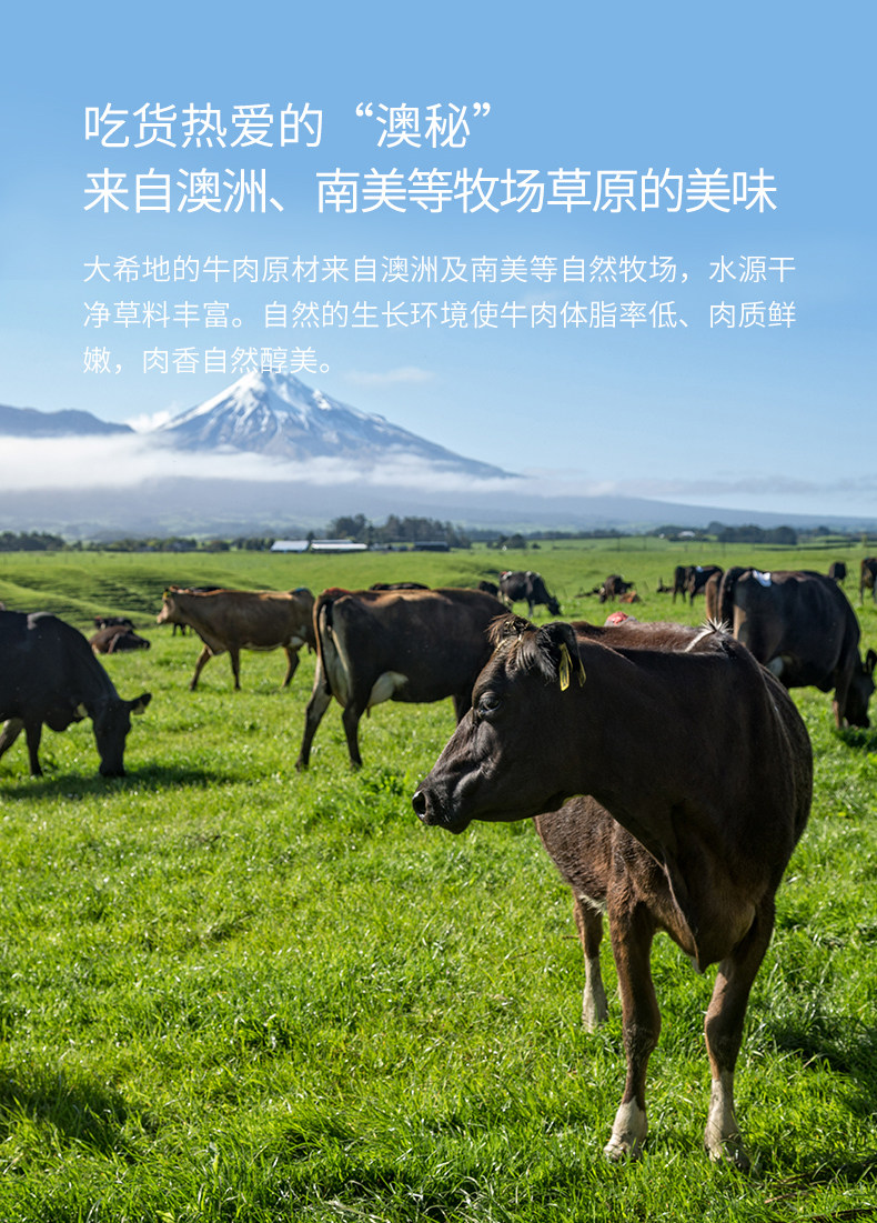 大希地 澳洲进口 原肉整切菲力牛排套餐 130g*10片 图2