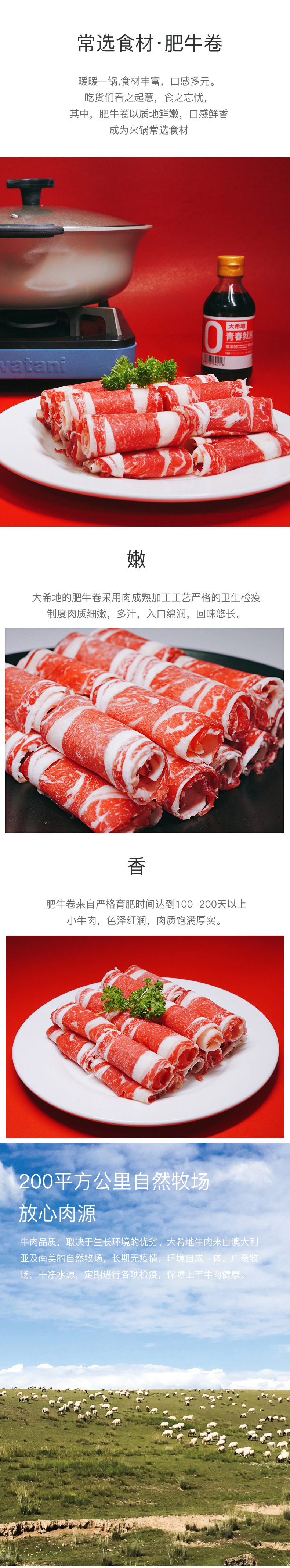 大希地 澳洲进口整切肥牛卷 250g*4包 图2