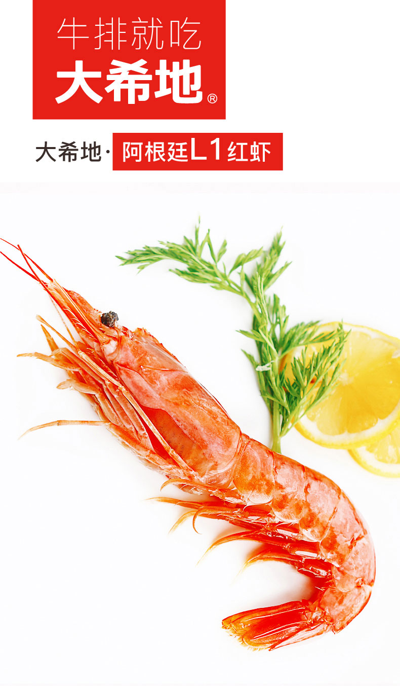 大希地 L1级超大号 阿根廷红虾 净重4斤 图2