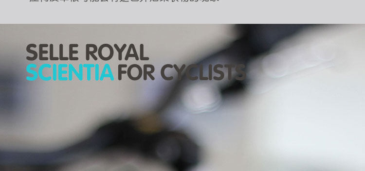 Selle de vélo Mountain Bike SELLE ROYAL - Ref 2350271 Image 49