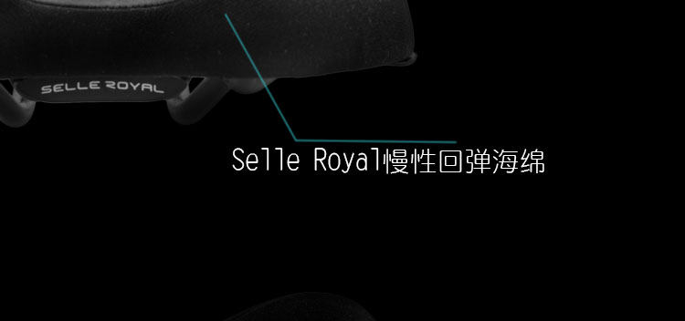 Selle de vélo Mountain Bike SELLE ROYAL - Ref 2350271 Image 16