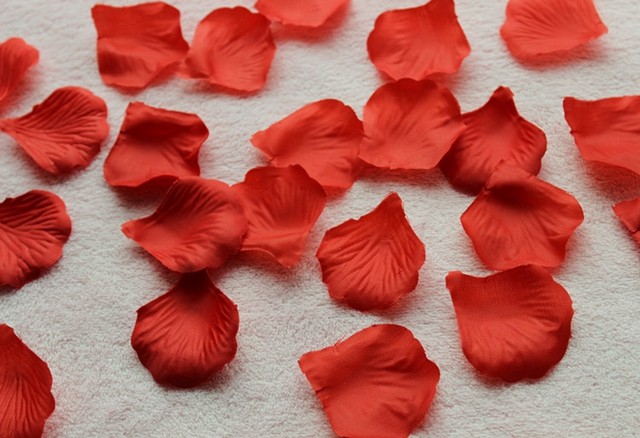 Bougie - Ref 2488560 Image 29