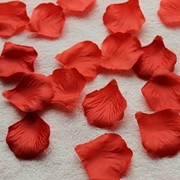 Bougie - Ref 2488560 Image 9