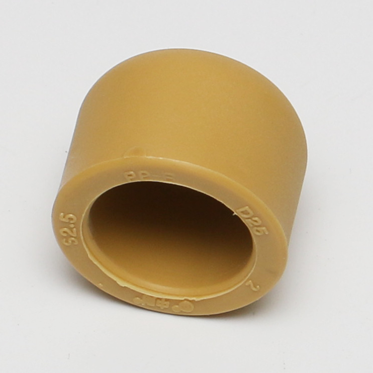 Zhongcai coffee-colored PPR hot and cold water pipe accessories accessories hot melt pipe plug blocking plug cap cap type nut pipe fittings