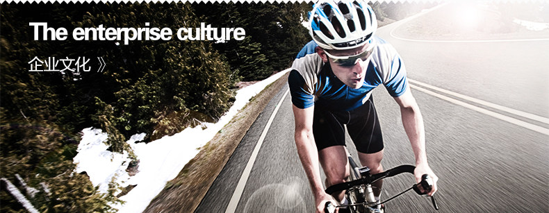 Porte-bagages pour vélo PHILLIPS - Ref 2413923 Image 30