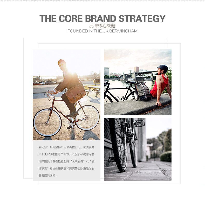 Porte-bagages pour vélo PHILLIPS - Ref 2413923 Image 27