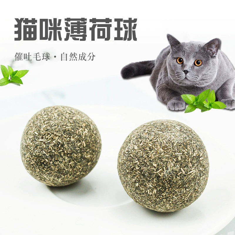 Răng cho thú cưng Thức ăn cho mèo Đồ ăn nhẹ cho mèo Quả bóng bạc hà Hartley Quả bóng cỏ Catnip - Đồ ăn nhẹ cho mèo