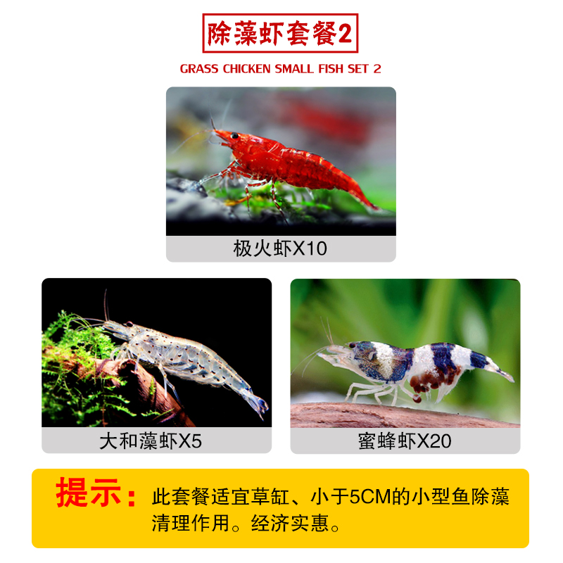 usd 23 88 tropical