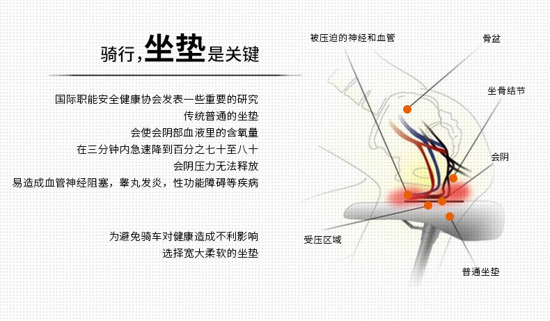 Selle de vélo Mountain Bike ZOLI - Ref 2350835 Image 8