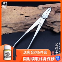 Bonsai making special tool tree trunk relic drawing pliers gardening floral scissors black pine shape pliers pruning shears