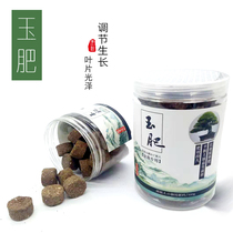 Black pine needle Cypress bonsai special granular fertilizer export Jade fertilizer bonsai potted fertilizer organic fertilizer slow-release fertilizer