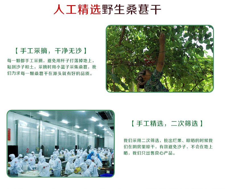 大漠盛宴 19新果 新疆野生桑葚干 100g*2袋 31万好评 图7