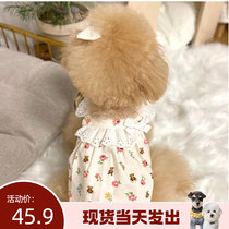 (laughs and laughs) Inwind Han version Pet Pet Clothing Cute Little Bear Rose Princess White Pendant With Skirt Lace short