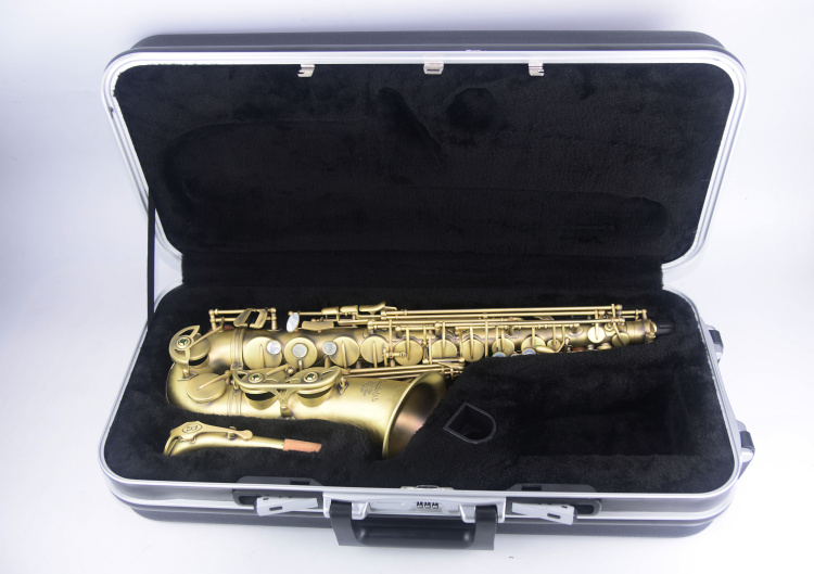 Pháp Randolph Alto Nhạc cụ Saxophone đích thực thả người lớn E giai điệu người mới bắt đầu chơi phổ quát - Nhạc cụ phương Tây đàn