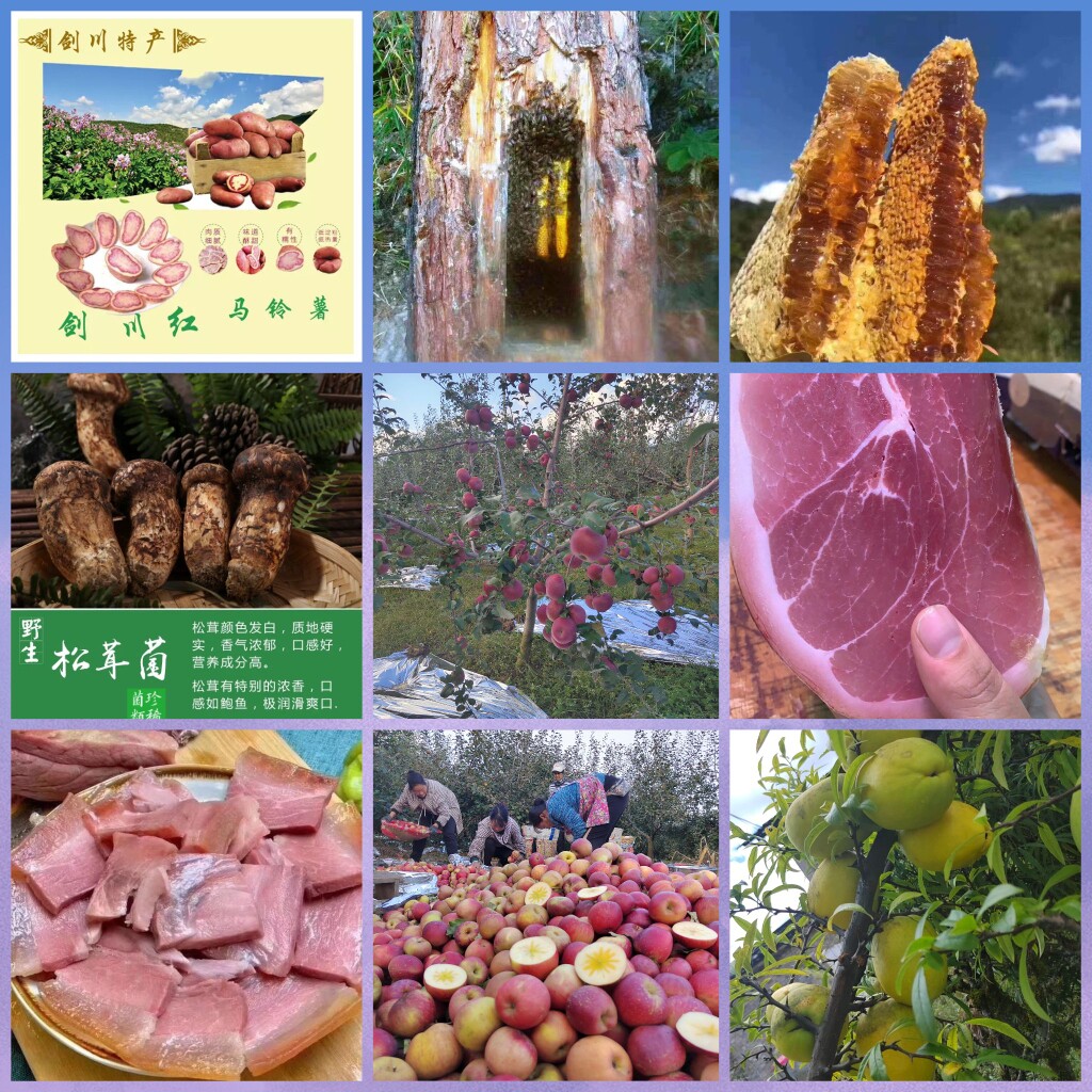 大理马登野生苹果庄园