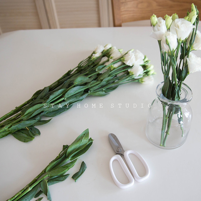 stay-home japan gardening floral scissors wide head home flower cut flower cut flowers pruney branches tools