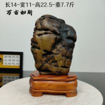 (Eternity Like This) Kowloon Biqi Stone Black Gold Old Skin Natural Raw Stone Landscape Stone Pictographic Pattern Stone