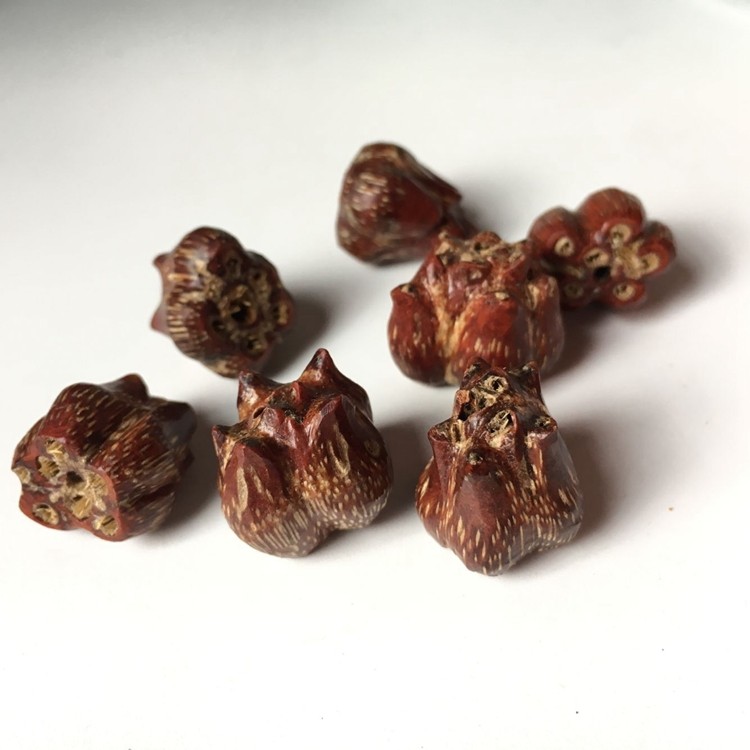 DIY Wenwan handmade jewelry Bodhi seed dripping blood lotus loose beads with beads Buddha beads bracelet accessories