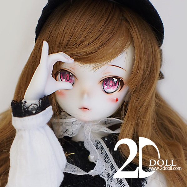 2ddoll