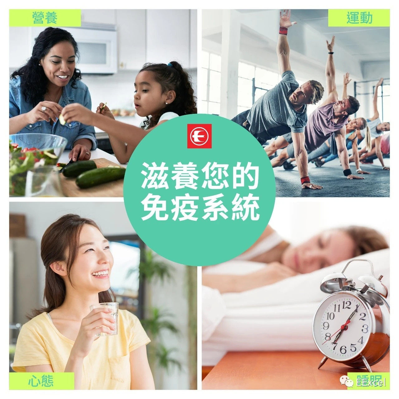 The flowers-the one in the