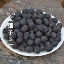 Black lotus seeds Jiangxi specialty with Shell old lotus seeds 3kg iron lotus seeds dry goods instant red lotus seeds