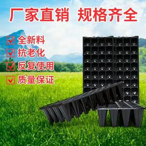 Seedling Trays, Thickened Containers for Seedlings, Succulents, Peppers, Vegetables, Strawberry Seeds, Cuttings, Nursery Boxes, Seedling Pots, Trays