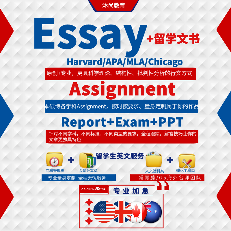 essay writing English study paper accounting business financial assignment English whole subject report