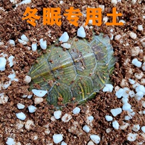 Three-in-one turtle hibernation soil hibernation supplies Coconut moss hibernation sand hibernation soil vermiculite Brazilian turtle winter