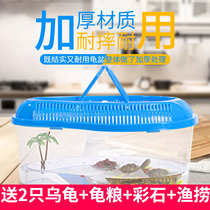 Turtle tank Send 2 small tortoises Brazilian tortoises Turtle tank with sun table Multi-size turtle basin Pet box Childrens gift
