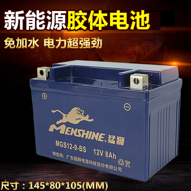 Suitable for Huanglong BJ600GS BN600i Silver Blade BJ250T-8 BJ300GS Battery