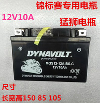 Motorcycle Battery Huanglong 600 rowing GW250 Guangyang 250 Benali Gel Battery Battery Large Capacity 12V10A