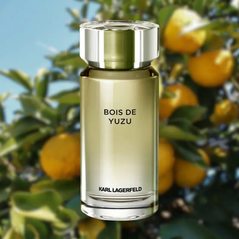 Bois De Yuzu Fragrance Sample
