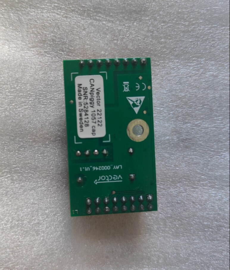 VECTOR CANpiggly 1057Gcap-Taobao of the VECTOR