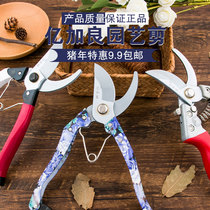  Yijialiang scissors to trim branches Garden gardening tools multifunctional household scissors Fruit tree plant repair branch scissors