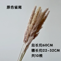 10 сырой хвост хвоста