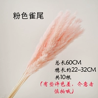 10 розовых птиц Хвост 10