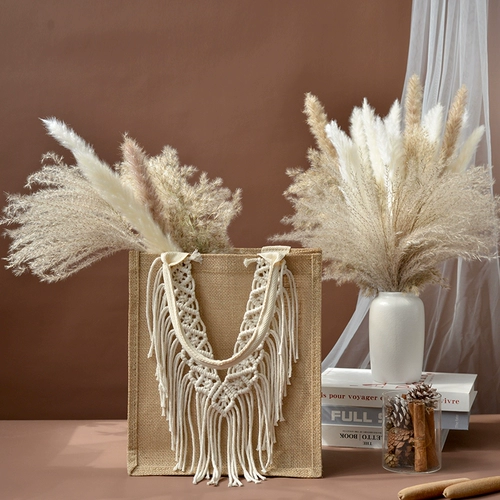 Натуральный тростник сушеный цветок вставка декоративное магазин магазин Shinhua Home Fressings Стрельба для реквизита