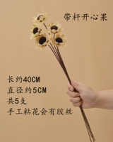 Принесение шеста счастливого фрукта 5