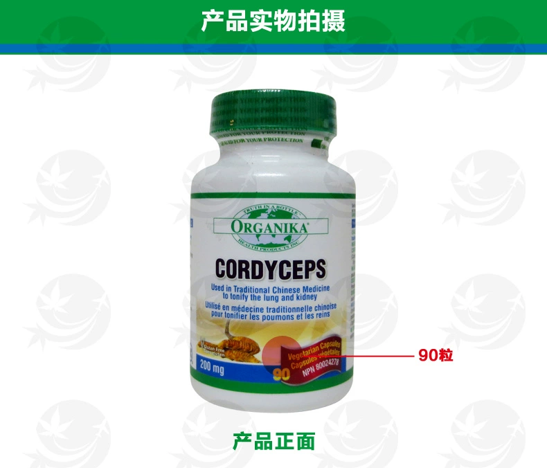 Canada nhập khẩu Organika Cordyceps thuốc bổ chăm sóc sức khỏe - Thức ăn bổ sung dinh dưỡng