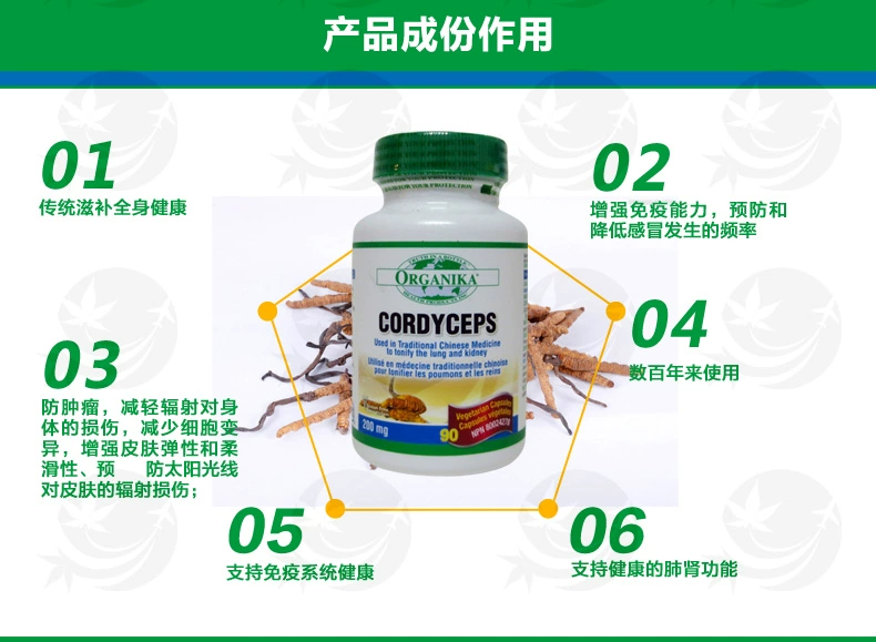 Canada nhập khẩu Organika Cordyceps thuốc bổ chăm sóc sức khỏe - Thức ăn bổ sung dinh dưỡng