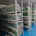 河南生物切片标本及标本换液维护直供店