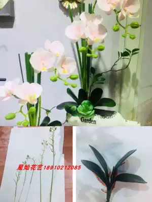 Dongli flower material stockings flower Phalaenopsis orchid branch Phalaenopsis orchid rod Various sizes Phalaenopsis orchid branch